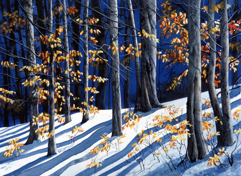 Winter Beeches  - med.jpg