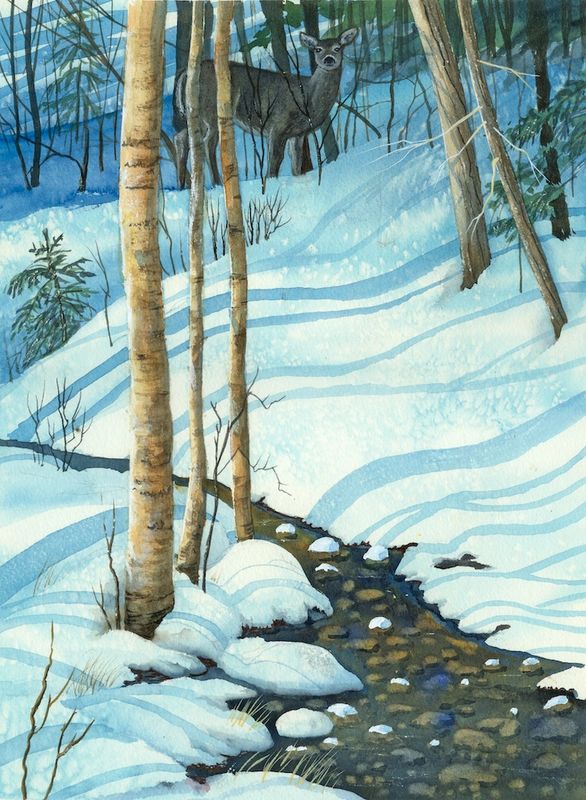 Winterbrook - med.jpg