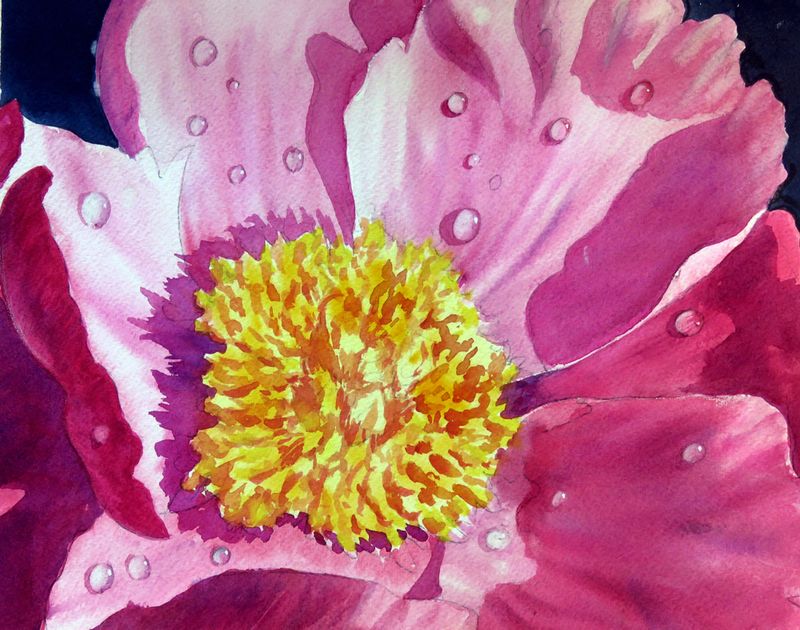 Pretty in Pink - 12 x 9 - sm.jpeg