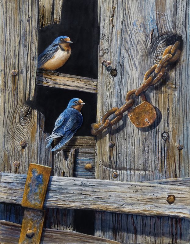 The Barn Swallows are Back!_0188.jpg