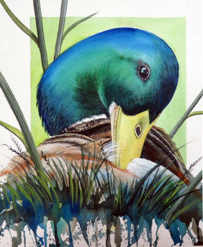 Drippy Duck 9 x 12.jpg