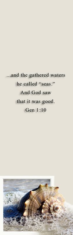 And God saw that it was good - Genesis 1:10