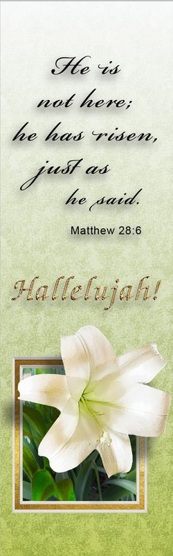 Just as He said - Matthew 28:6