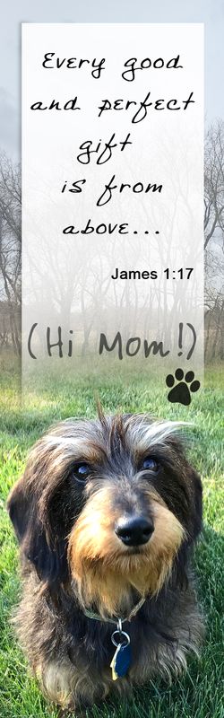 Emmy - James 1:17