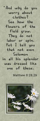 Not even Solomon - Matthew 6:28,29