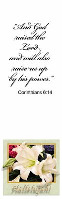 By His power - Corinthians 6:14