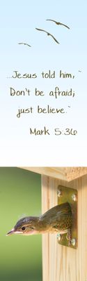 Just believe - Mark 5:36