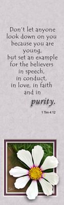 Purity - 1 Timothy 4:12