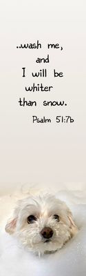 Whiter than snow - Psalm 51:7b