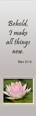 All things new - Revelation 21:5