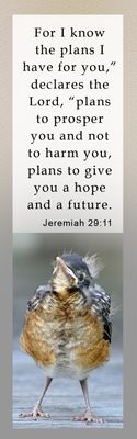 A hope and a future - Jeremiah 29:11