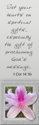 Set your hearts on spiritual gifts - 1 Corinthians 14:1b