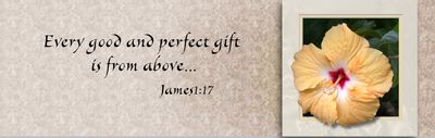Every good and perfect gift - James 1:17