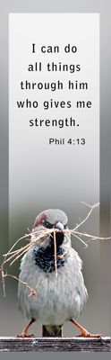 Strength - Philippeans 4:13