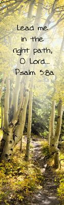 Lead me - Psalm 5:8a