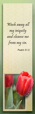 Wash away my iniquity - Psalm 51:2