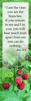 I am the vine - John 15:5