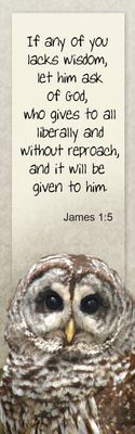 If any of you lacks wisdom - James 1:5