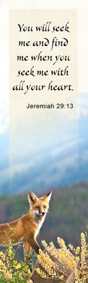 You will seek me - Jeremiah 29:13