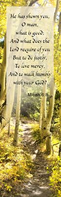 Walk humbly - Micah 6:8