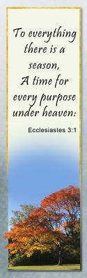 There is a season - Eccliastes 3:1