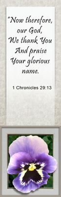 Your glorious name - 1 Chronicles 29:13