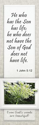 He who has the Son - 1 John 5:12