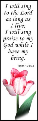 I will sing praise - Psalm 104:33