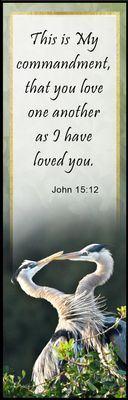Love one another - John 15:12