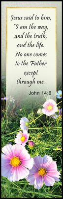 I am the way - John 14:6