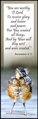 For You Created All Things - Revelation 4:11