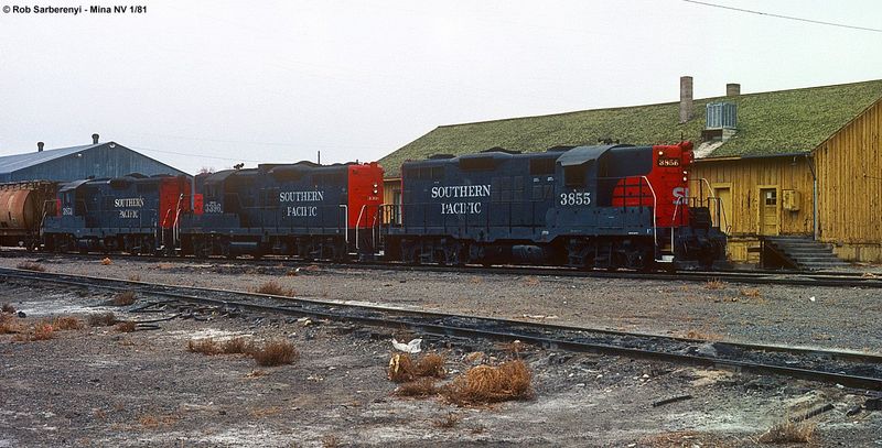 SP 3855 Mina.jpg