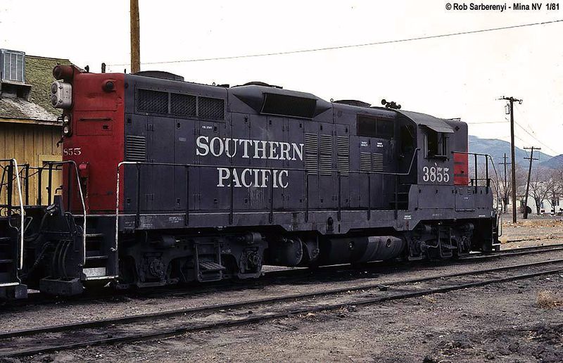 SP Mina 3855.jpg