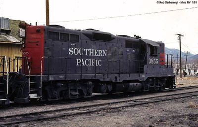 SP Mina 3855.jpg