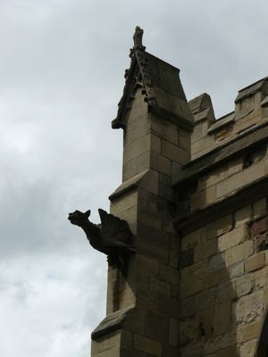 P1000381.JPG