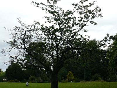g13/36/425536/3/173959846.9f08f75a.JPEG