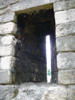 P1000326.JPG