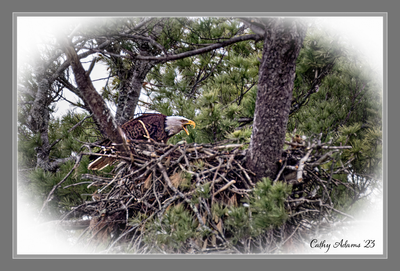DSC02299_DxO.png