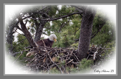 DSC02313_DxO.png