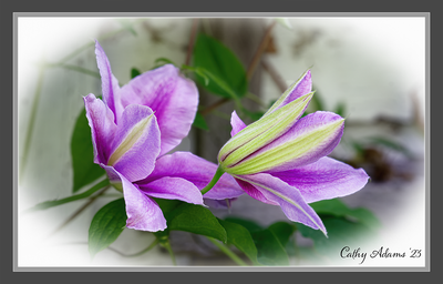 DSC03064_DxO.png