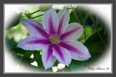 DSC03066_DxO-1.png