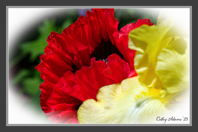 DSC03069_DxO.png