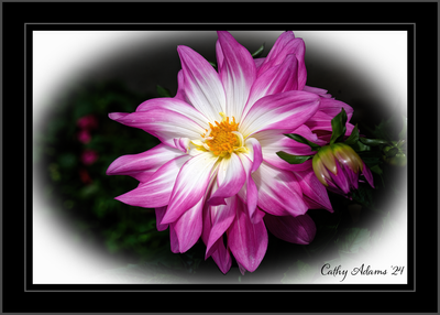 DSC04761_DxO.png