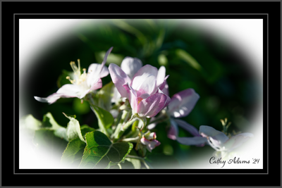 DSC04820_DxO.png