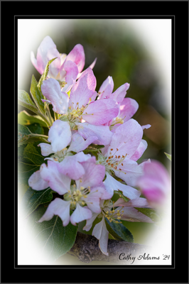 DSC04826_DxO.png