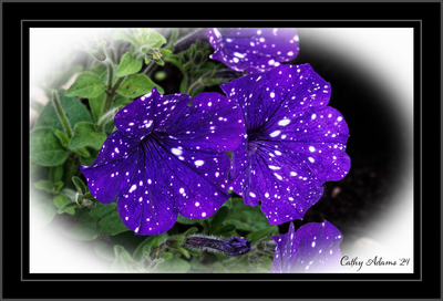 DSC04975_DxO.png