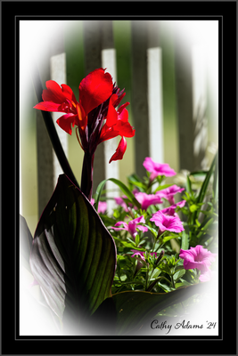 DSC05652_DxO.png