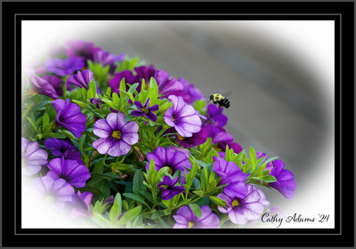 DSC05719_DxO.png