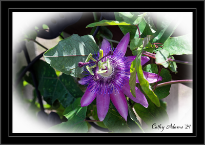 DSC05740_DxO.png