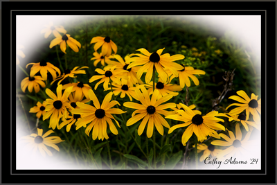 DSC05860_DxO.png
